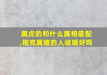 属虎的和什么属相最配,相克属猪的人结婚好吗