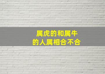 属虎的和属牛的人属相合不合