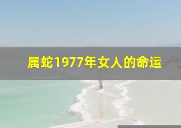 属蛇1977年女人的命运