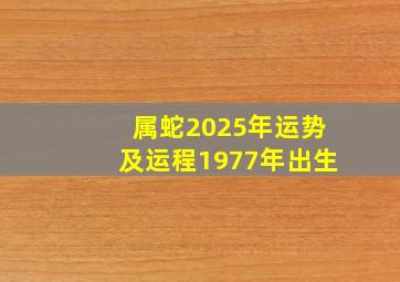 属蛇2025年运势及运程1977年出生