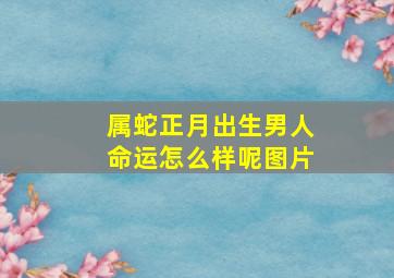 属蛇正月出生男人命运怎么样呢图片