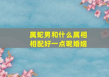 属蛇男和什么属相相配好一点呢婚姻