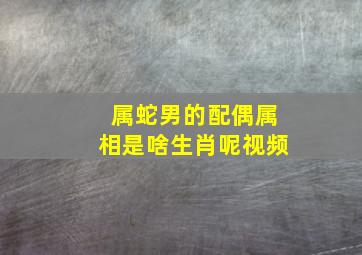 属蛇男的配偶属相是啥生肖呢视频