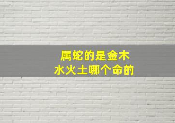 属蛇的是金木水火土哪个命的