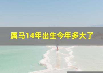 属马14年出生今年多大了