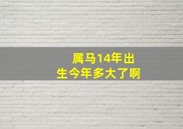 属马14年出生今年多大了啊