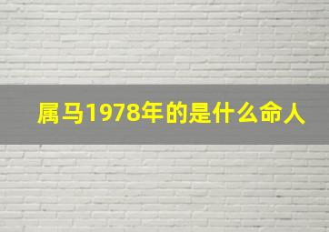 属马1978年的是什么命人