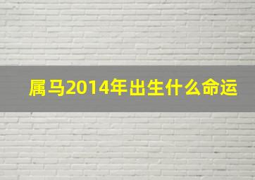 属马2014年出生什么命运