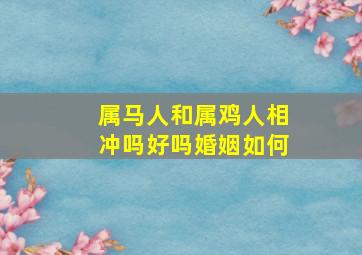 属马人和属鸡人相冲吗好吗婚姻如何