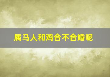 属马人和鸡合不合婚呢