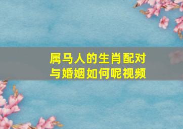 属马人的生肖配对与婚姻如何呢视频