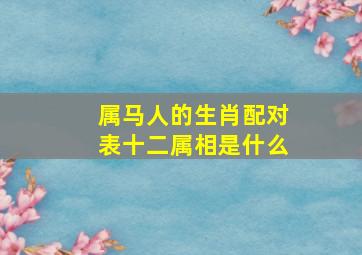 属马人的生肖配对表十二属相是什么