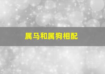 属马和属狗相配