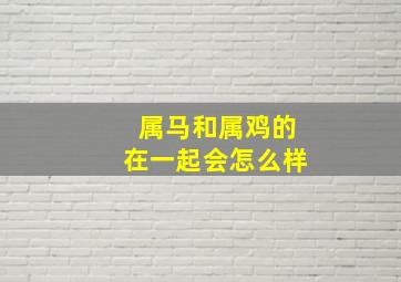 属马和属鸡的在一起会怎么样