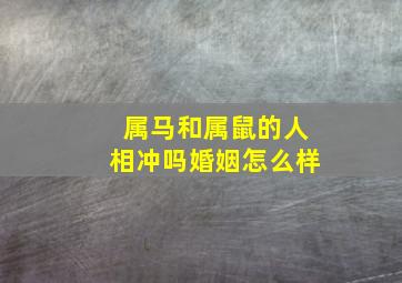 属马和属鼠的人相冲吗婚姻怎么样