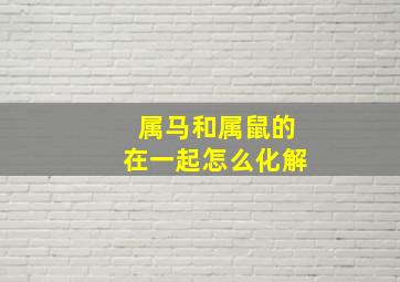 属马和属鼠的在一起怎么化解