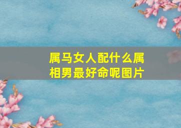 属马女人配什么属相男最好命呢图片