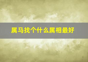 属马找个什么属相最好