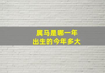 属马是哪一年出生的今年多大