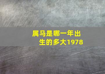 属马是哪一年出生的多大1978