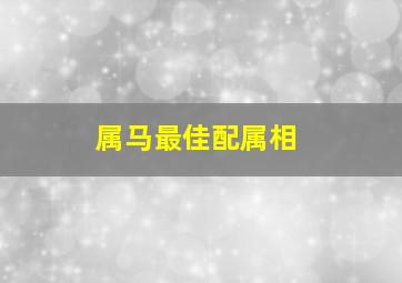 属马最佳配属相