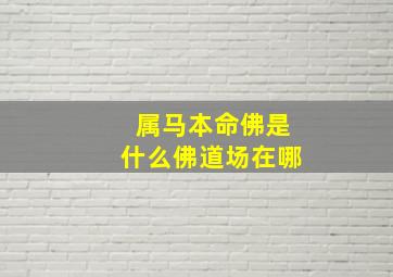 属马本命佛是什么佛道场在哪