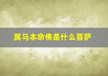 属马本命佛是什么菩萨