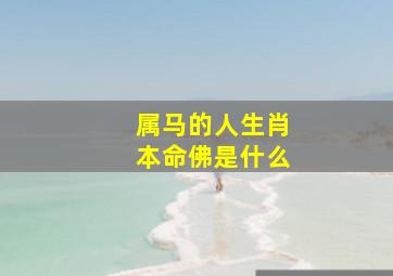 属马的人生肖本命佛是什么