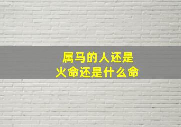 属马的人还是火命还是什么命