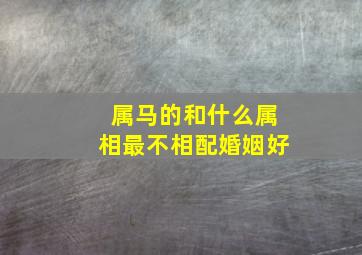 属马的和什么属相最不相配婚姻好