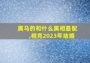 属马的和什么属相最配,相克2023年结婚