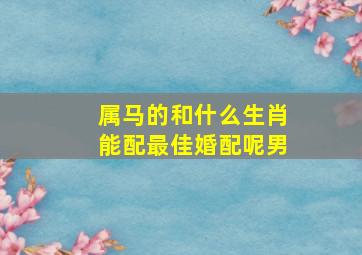 属马的和什么生肖能配最佳婚配呢男