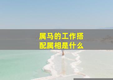 属马的工作搭配属相是什么