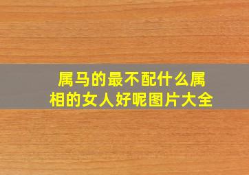 属马的最不配什么属相的女人好呢图片大全