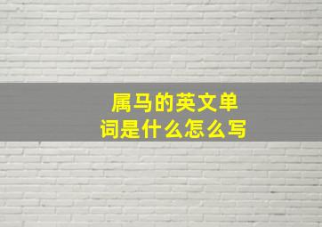 属马的英文单词是什么怎么写