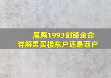 属鸡1993剑锋金命详解男买楼东户还是西户