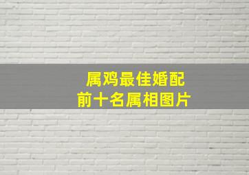 属鸡最佳婚配前十名属相图片