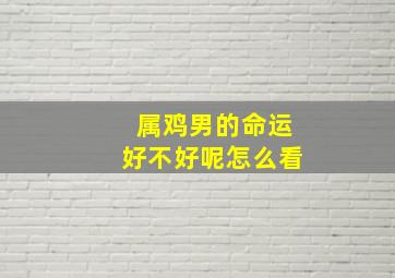 属鸡男的命运好不好呢怎么看