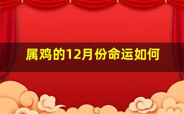 属鸡的12月份命运如何