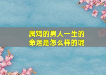 属鸡的男人一生的命运是怎么样的呢