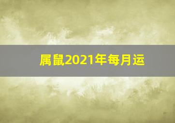 属鼠2021年每月运