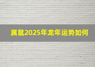 属鼠2025年龙年运势如何