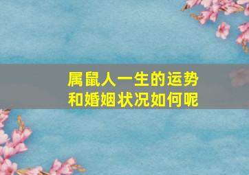 属鼠人一生的运势和婚姻状况如何呢