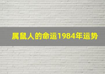 属鼠人的命运1984年运势