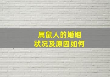 属鼠人的婚姻状况及原因如何