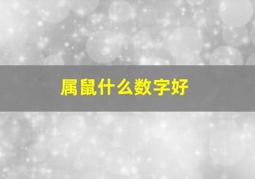 属鼠什么数字好