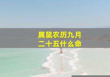 属鼠农历九月二十五什么命