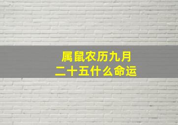 属鼠农历九月二十五什么命运