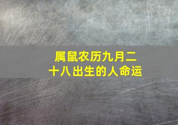 属鼠农历九月二十八出生的人命运