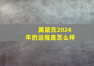 属鼠在2024年的运程是怎么样